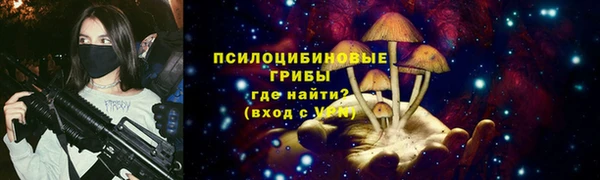 марки lsd Белокуриха