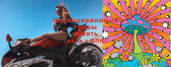 марки lsd Белокуриха