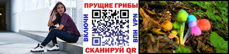 Галлюциногенные грибы GOLDEN TEACHER  как найти наркотики  Кушва 